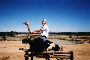 Ostrich riding, South Africa